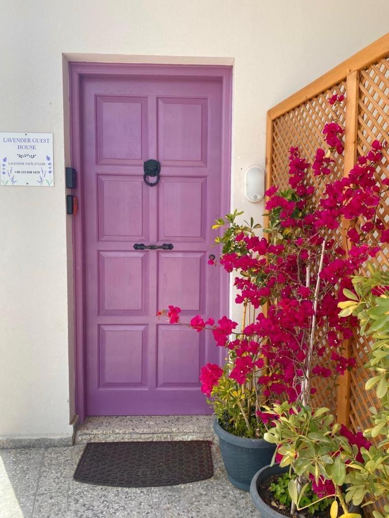 Lavender Homes, Walled City Gazimağusa Dış mekan fotoğraf